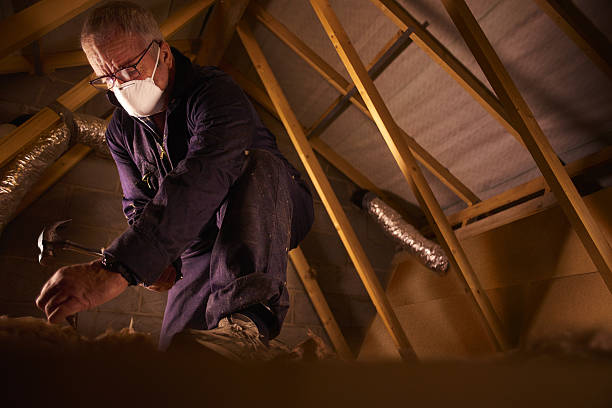 Best Geographic-Specific Insulation Services in Liberty, MO